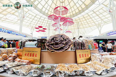 云南南華 菌旅與鮮果，邀您解鎖別樣清涼暑期